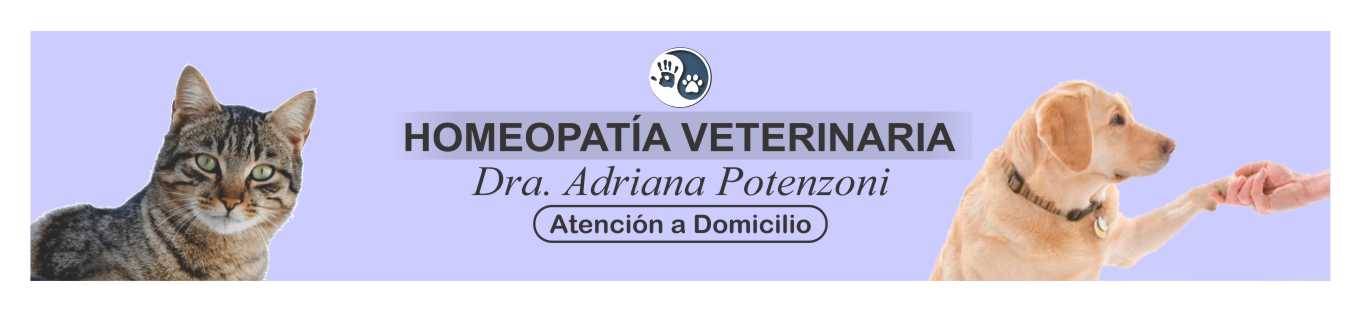 Medica Veterinaria Adriana  Potenzoni